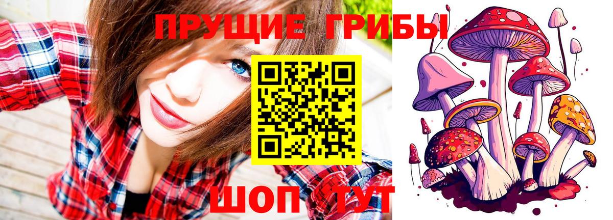 Псилоцибиновые грибы Cubensis Георгиевск