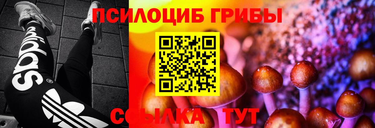 Георгиевск  Галлюциногенные грибы мицелий  Вход с VPN  наркота  Псилоцибиновые грибы Cubensis 