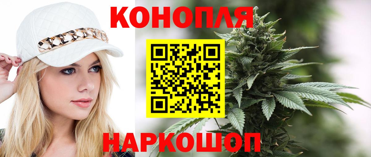 Конопля марихуана Георгиевск